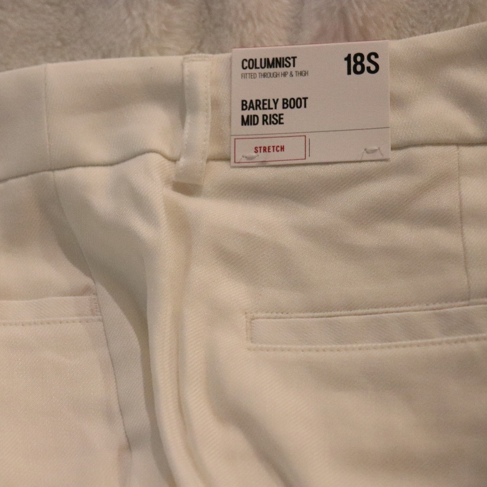 NWT Express Columnist Pant